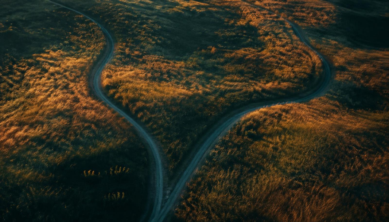 Two winding paths through golden grassland